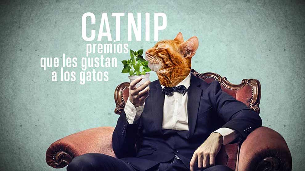 El Catnip es seguro para los gatos