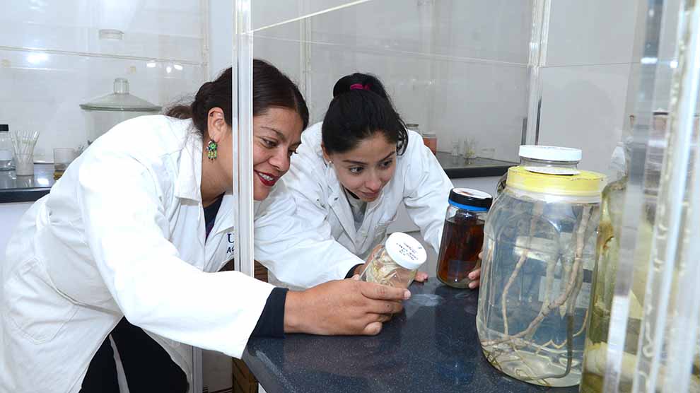 Mujeres mexicanas en la ciencia: ganan espacio en las aulas, pero se enfrentan a la brecha salarial