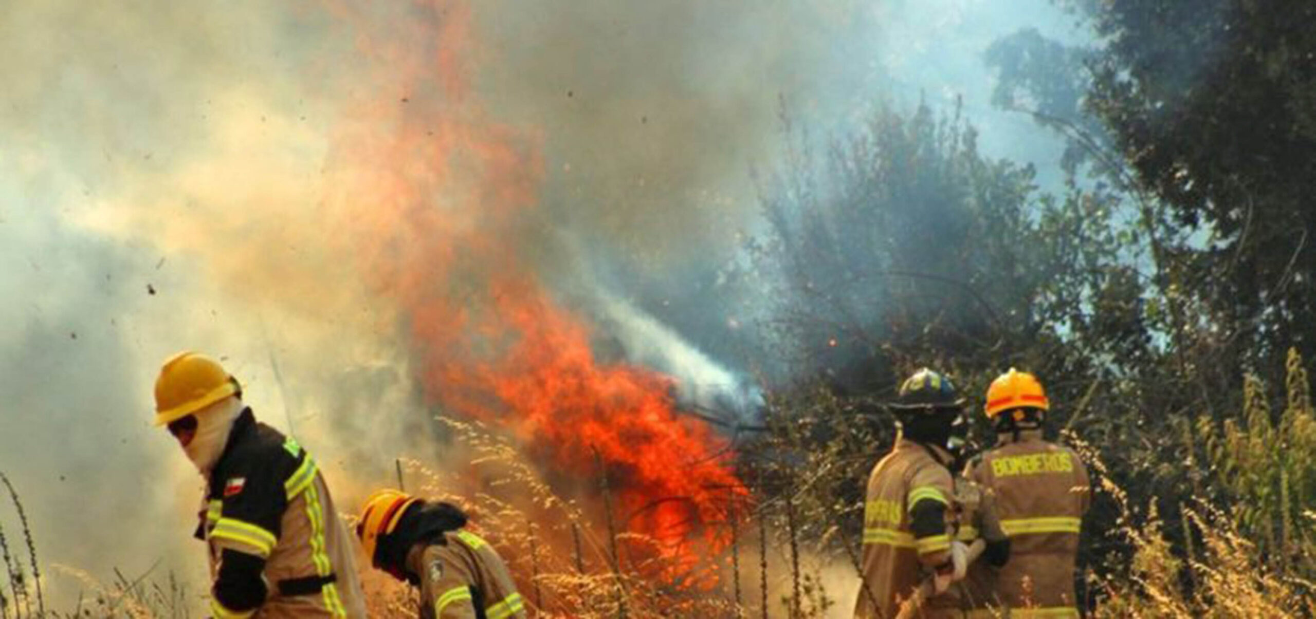 Llaman a evitar incendios para disminuir contingencias ambientales