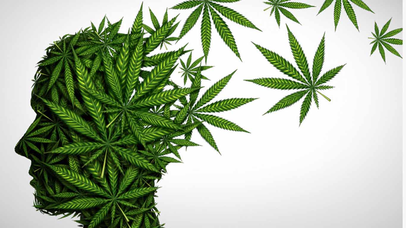 Marihuana: efectos negativos del consumo en la adolescencia
