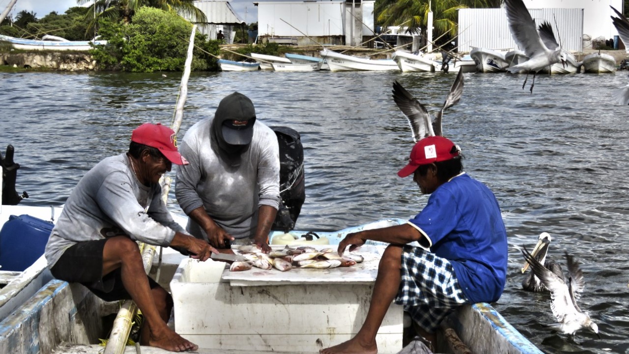Retos socioeconómicos y ambientales de la pesca artesanal en México