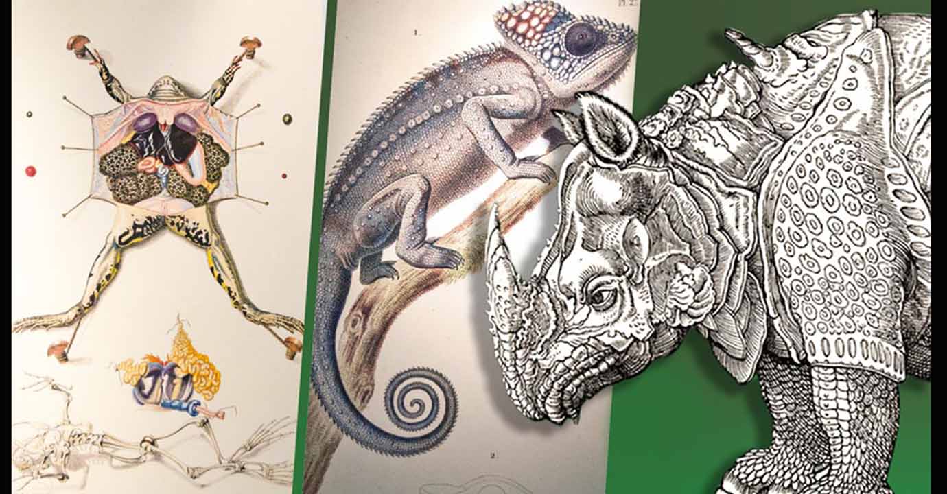 Exhibe Universum obras únicas del Museo Americano de Historia Natural de Nueva York