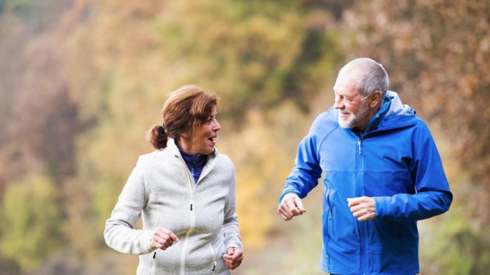 They analyze the relationship between aging, exercise, and neural connections