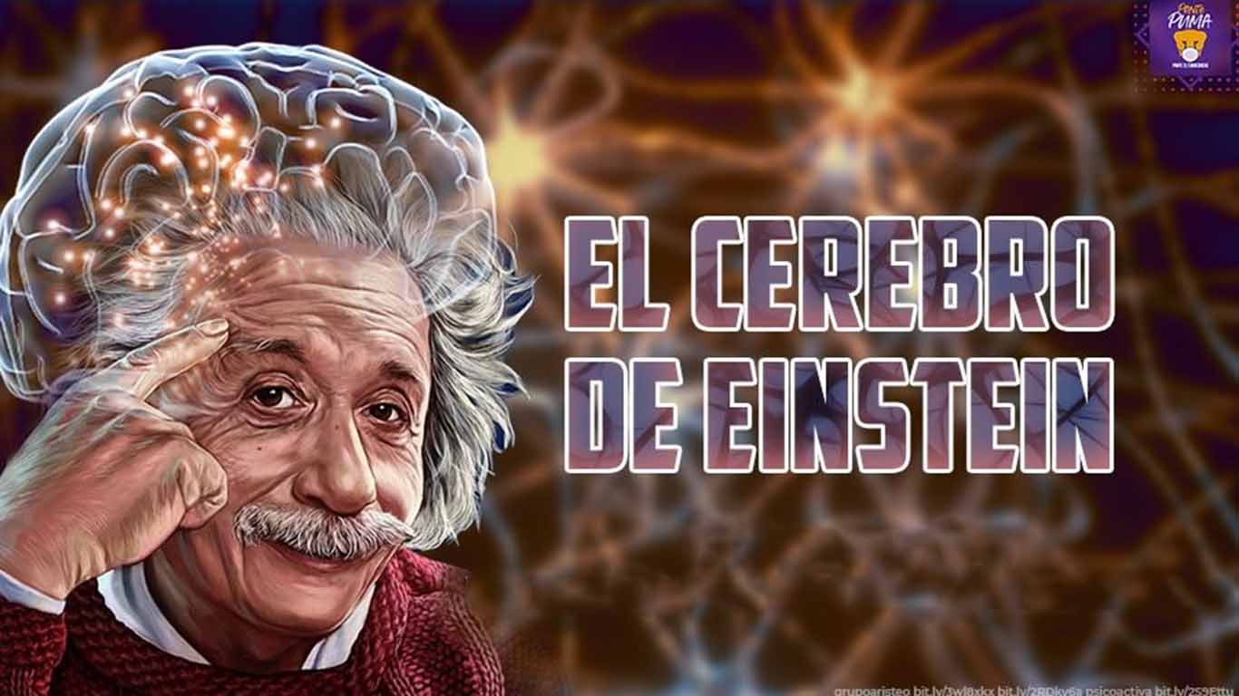 ¿Por qué  Albert Einstein era tan inteligente?