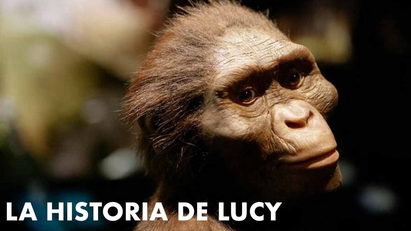 Lucy, el fósil que cambió paradigmas