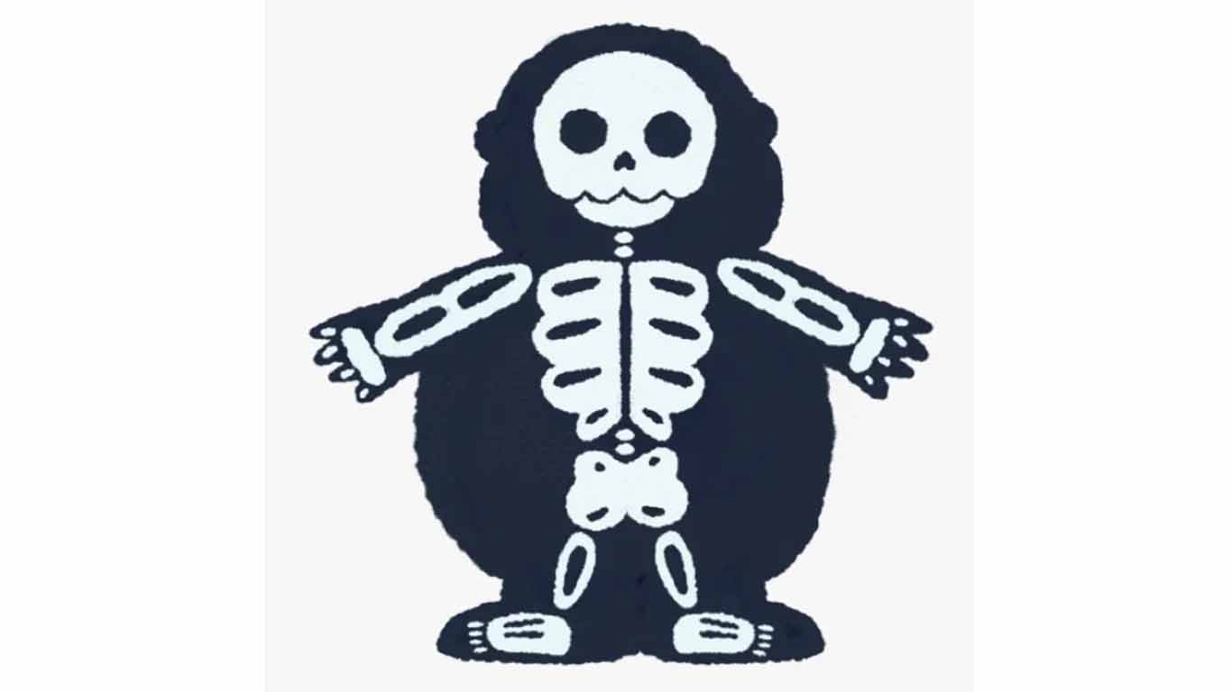Punto de encuentro entre obesidad y osteoporosis