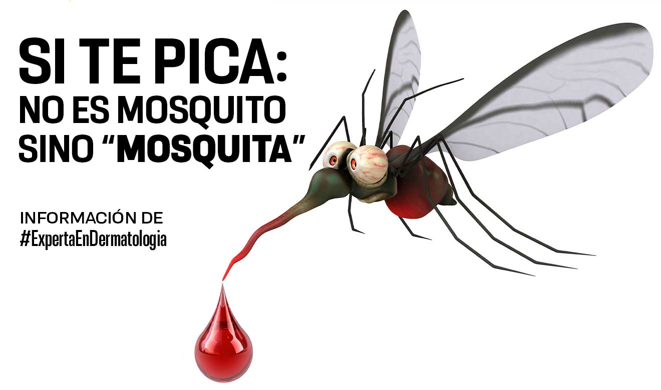 Mosquitos: Son las hembras las que pican