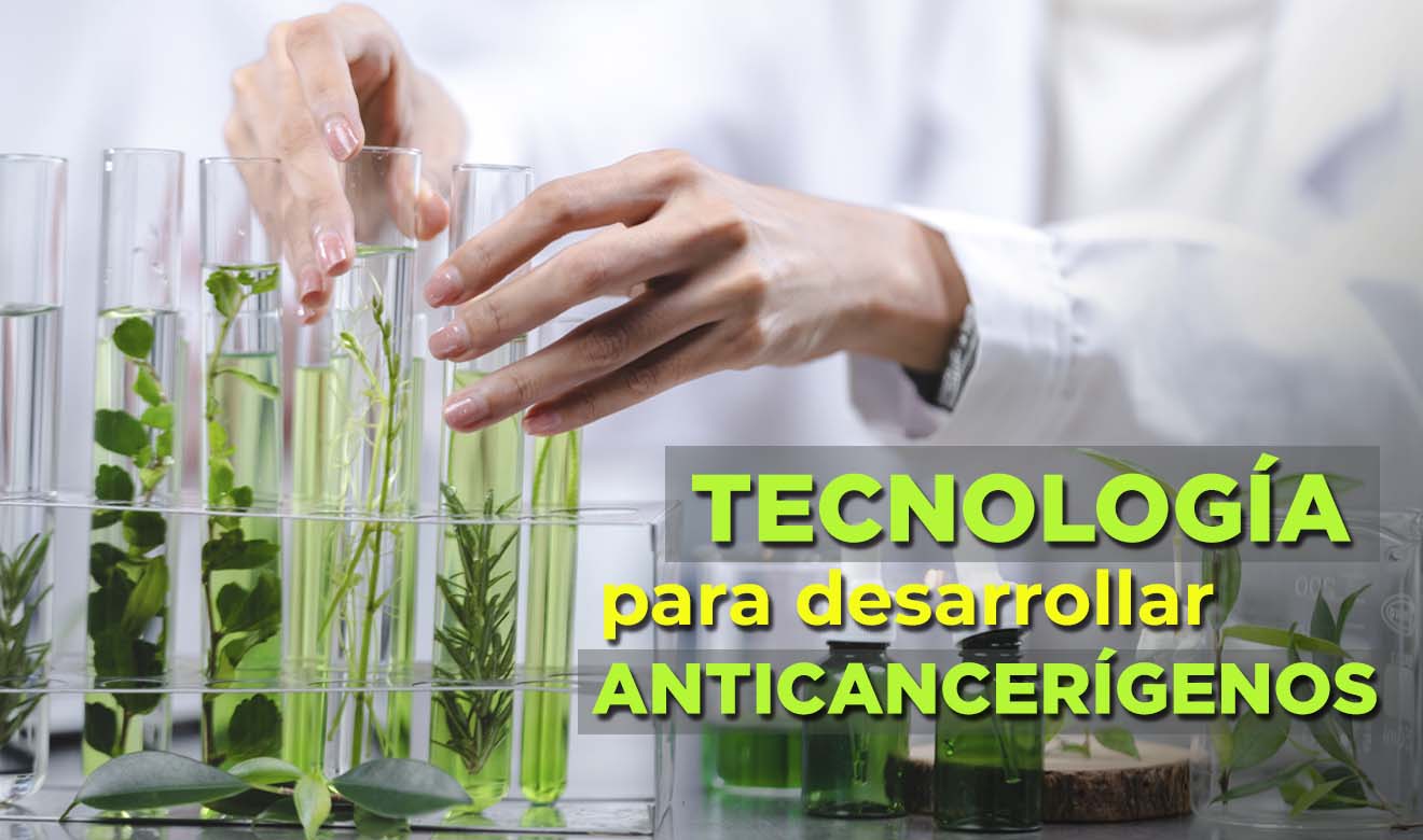 Descubren proceso para extraer compuestos anticancerígenos de plantas