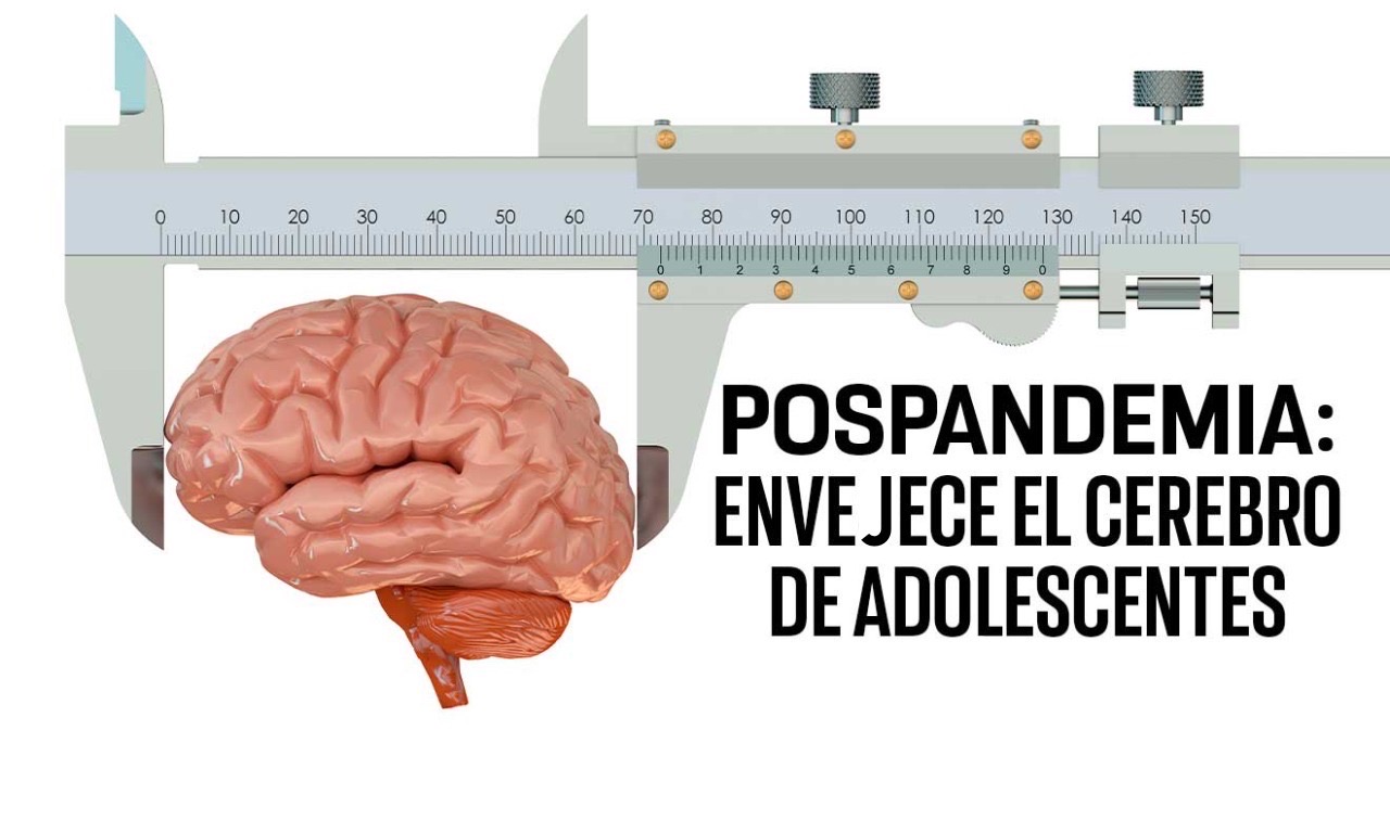 Pandemia: habría envejecido el cerebro de los adolescentes