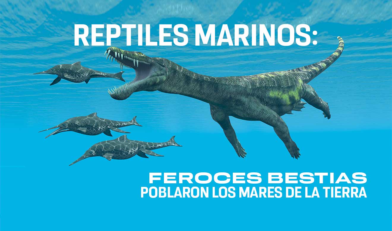 Qué reptiles marinos dominaron en la época de los dinosaurios? | UNAM Global