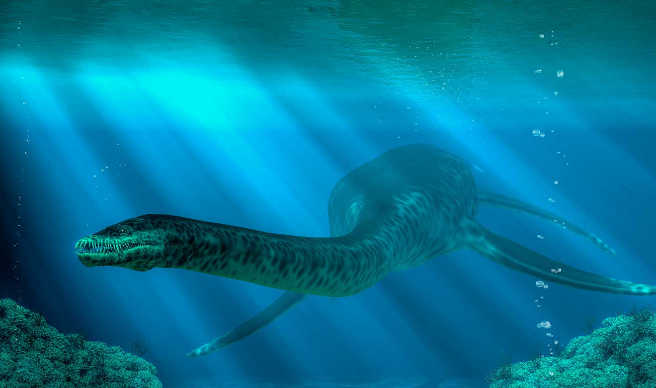 Qué reptiles marinos dominaron en la época de los dinosaurios? | UNAM Global