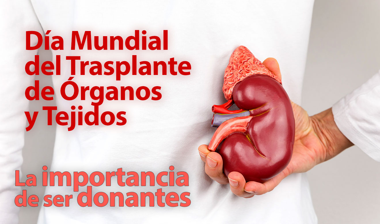 Más de 22 mil personas esperan recibir un órgano o tejido en México