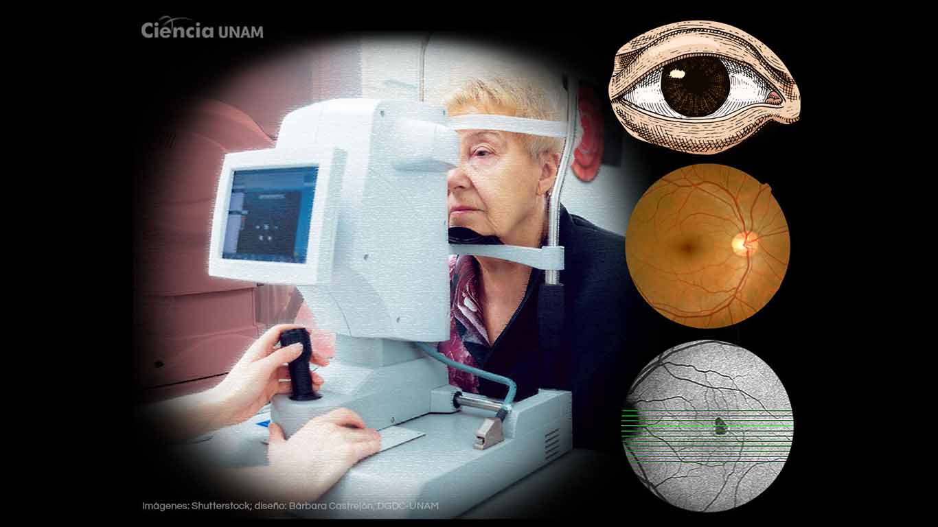 En el Día Mundial del Glaucoma: una enfermedad peligrosa y silenciosa