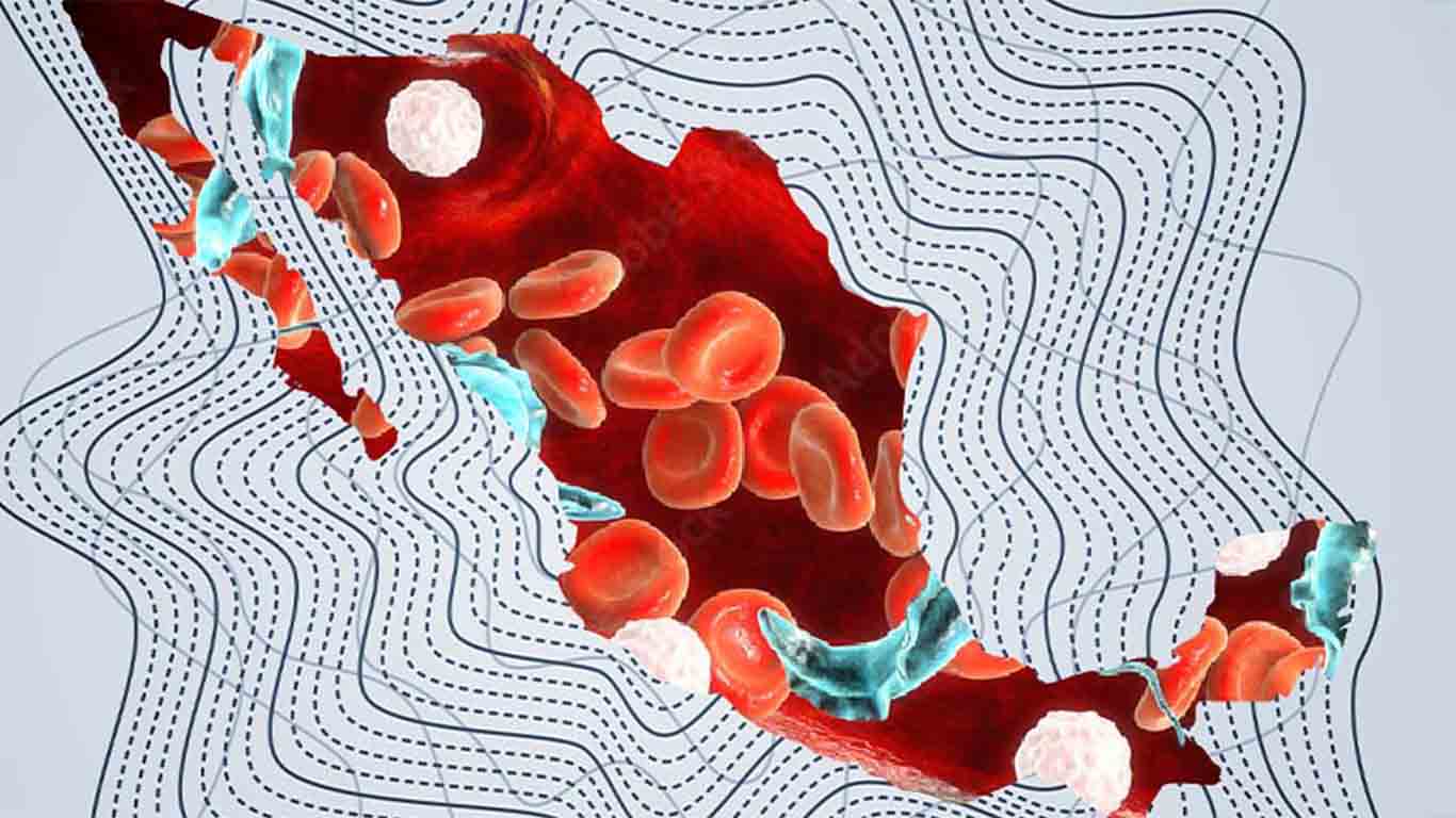Mapa de riesgos de Chagas: México, tercer país con más infectados