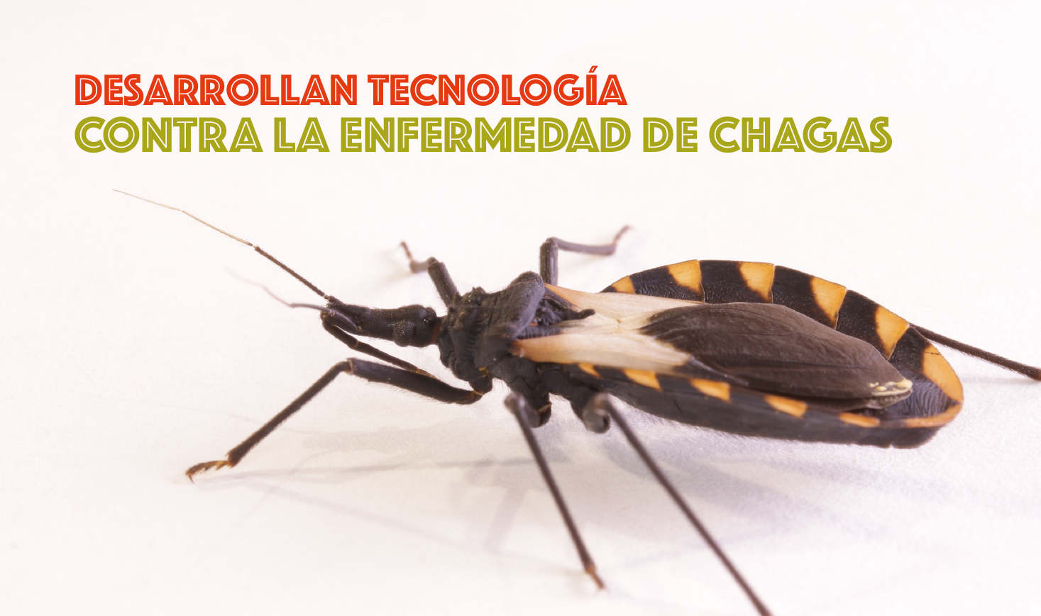 Desarrollan tecnología contra la enfermedad de Chagas