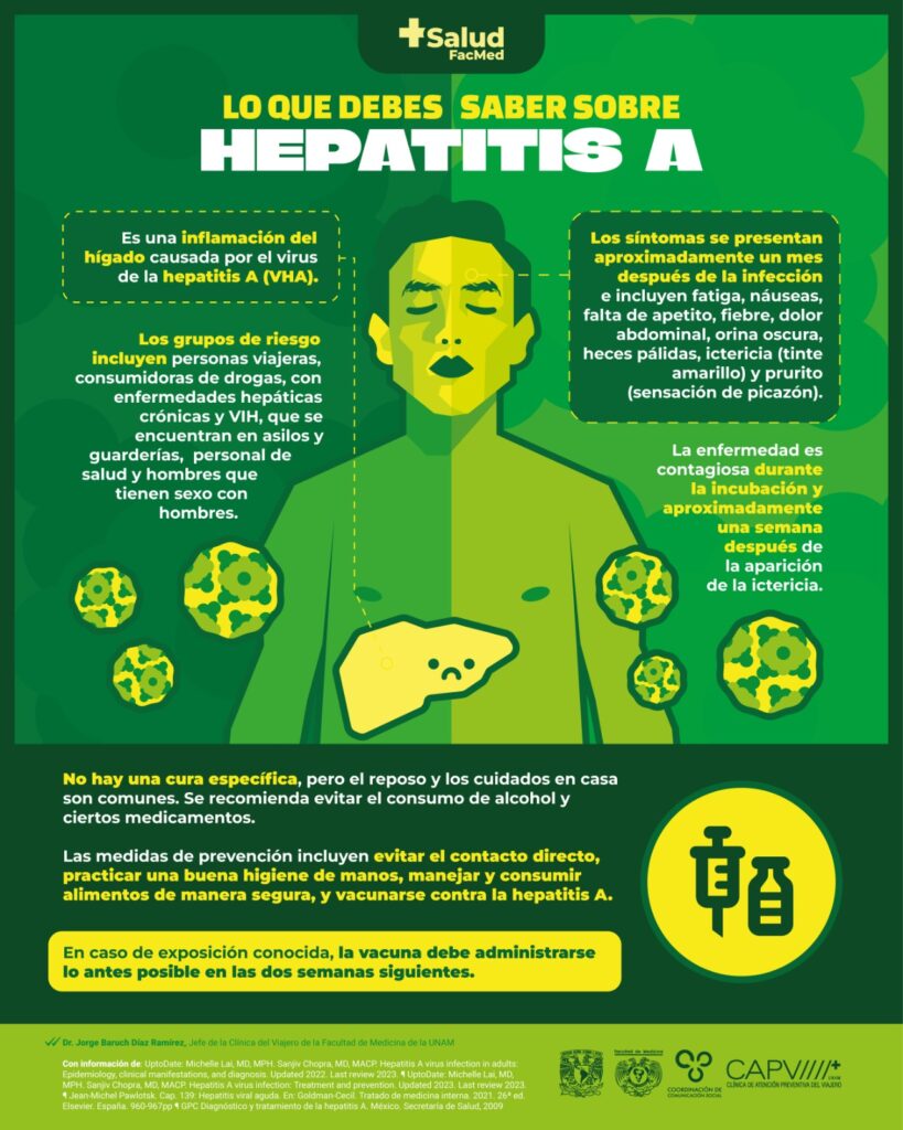 fotos del virus de la hepatitis a