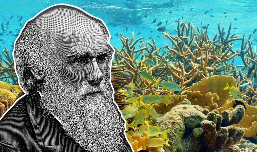 Darwin identificó 3 tipos de arrecifes en sus viajes