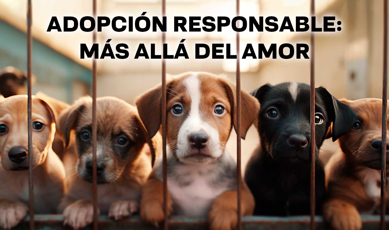 Adoptar un perro: impacto social y emocional - UNAM Global